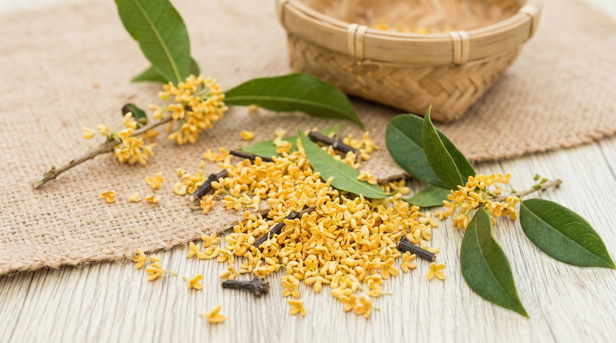 <strong>Osmanthus</strong>