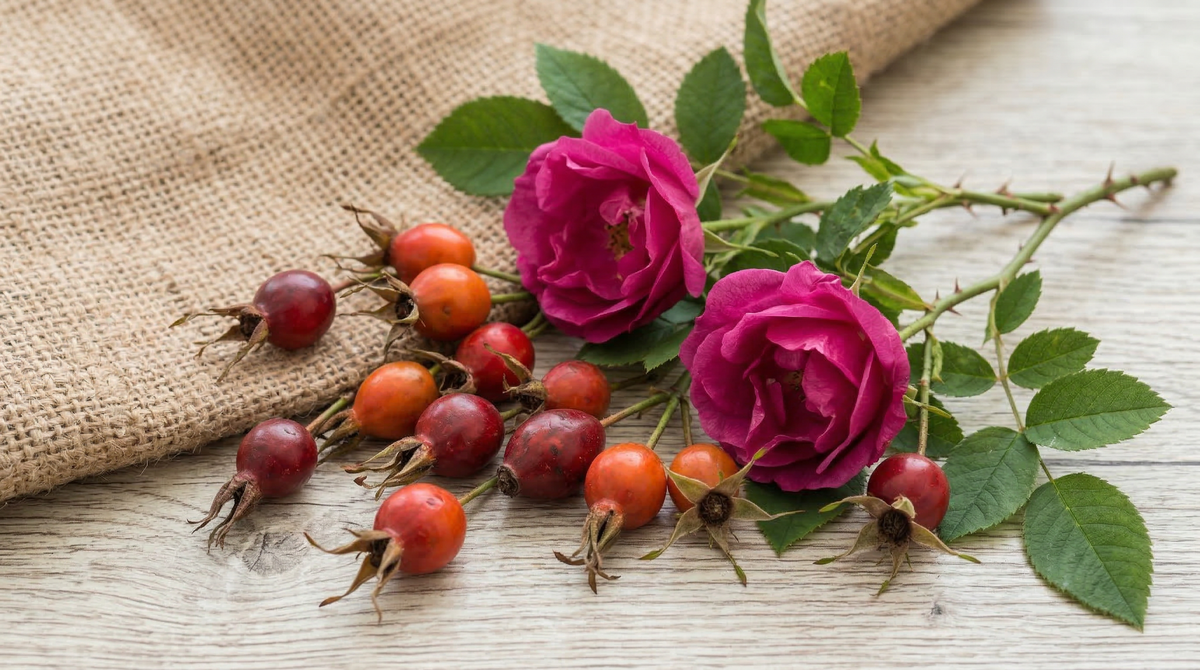 <strong>Rose</strong>